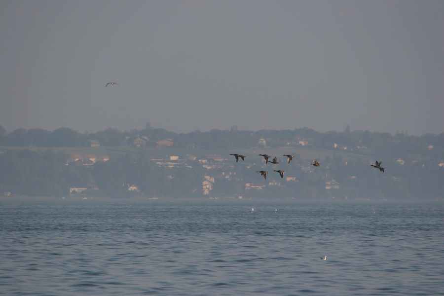 img_7567.jpg