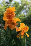 img_6756.jpg
