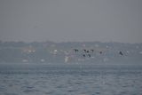 img_7567.jpg
