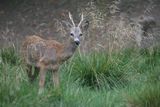 img_9071.jpg