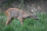 img_9076.jpg