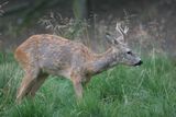 img_9077.jpg
