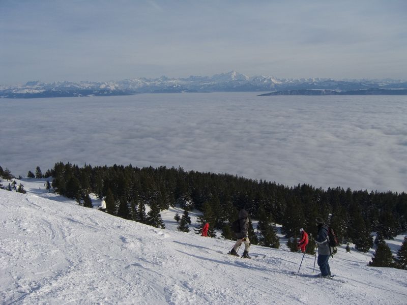 crw_9125.jpg