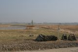 img_0139.jpg