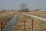 img_0142.jpg