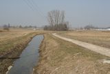 img_0145.jpg