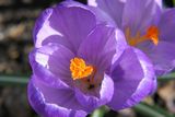 img_0206.jpg
