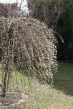 img_0216.jpg