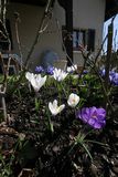img_0228.jpg