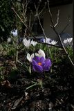img_0229.jpg