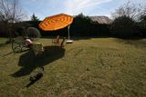 img_0232.jpg