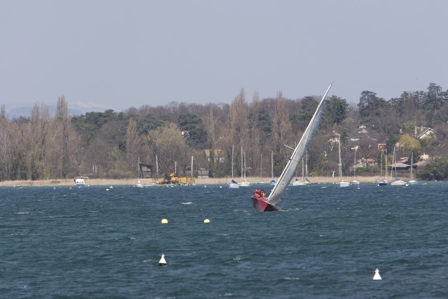 img_0252_2.jpg