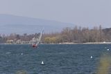 img_0250_1.jpg