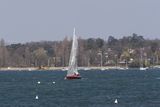 img_0253_2.jpg