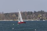 img_0254_2.jpg