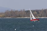 img_0255_2.jpg