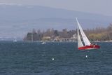 img_0256_2.jpg