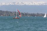 img_0267.jpg