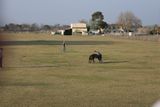 img_2104.jpg