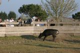 img_2107.jpg
