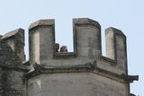 img_2182.jpg