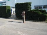 dsc00717.jpg