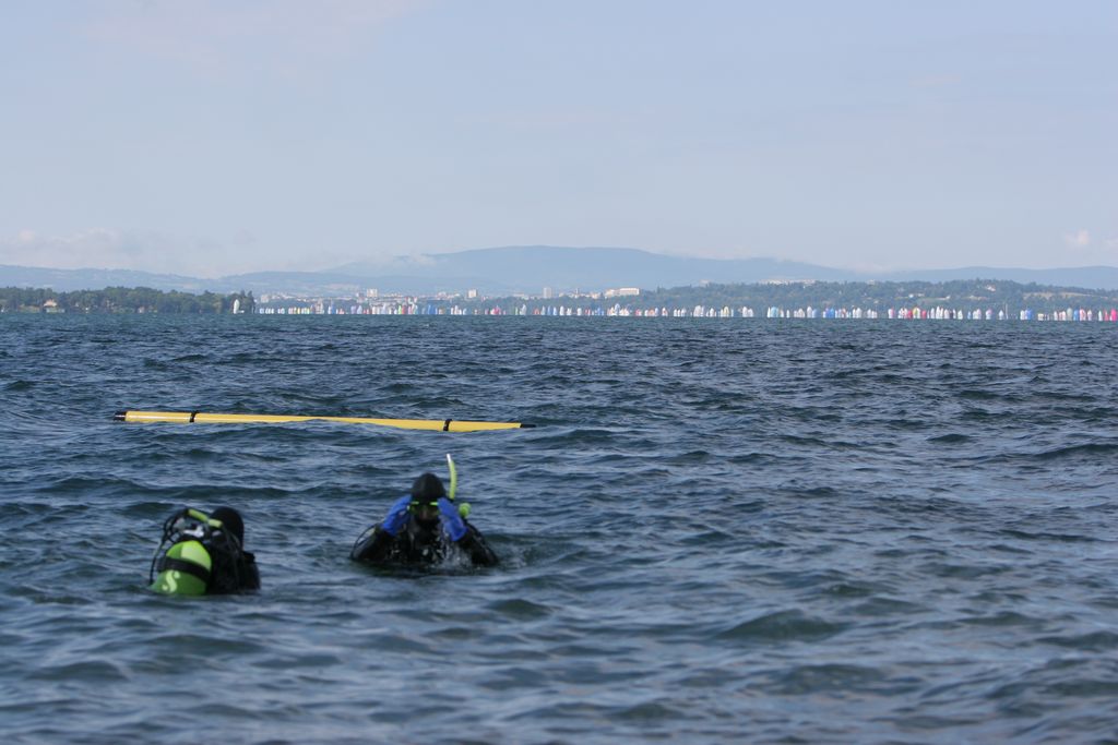 img_3090.jpg