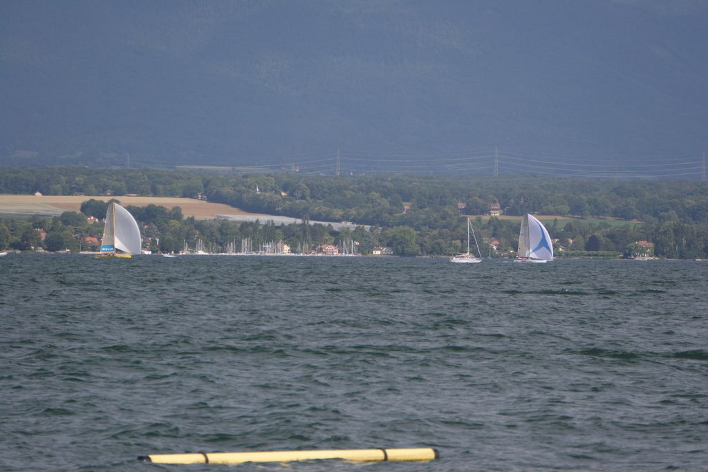 img_3113.jpg