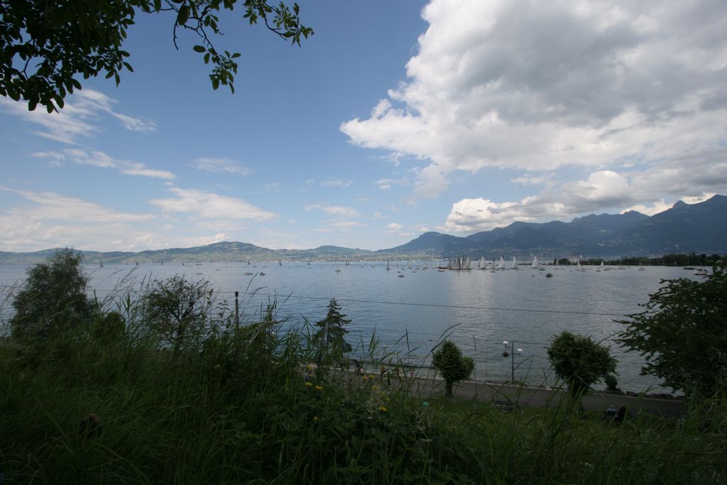img_3149.jpg