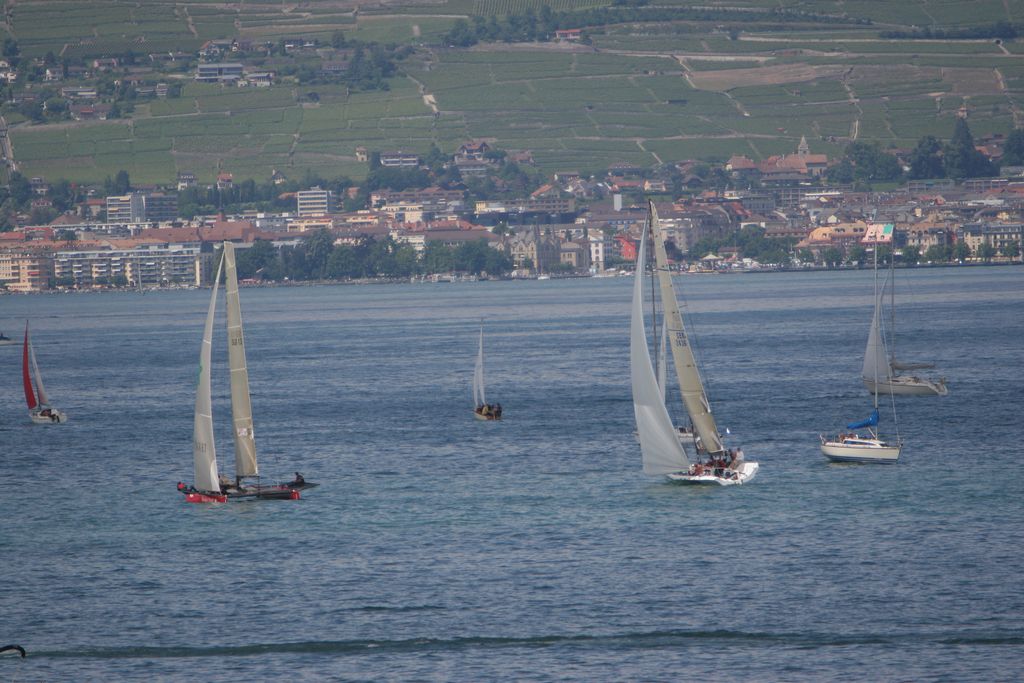 img_3195.jpg