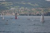 img_3138.jpg