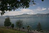 img_3179.jpg