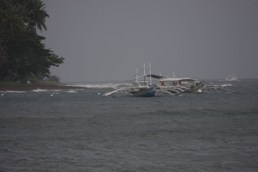 img_4529.jpg