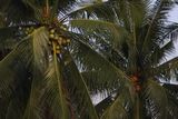 img_4372.jpg