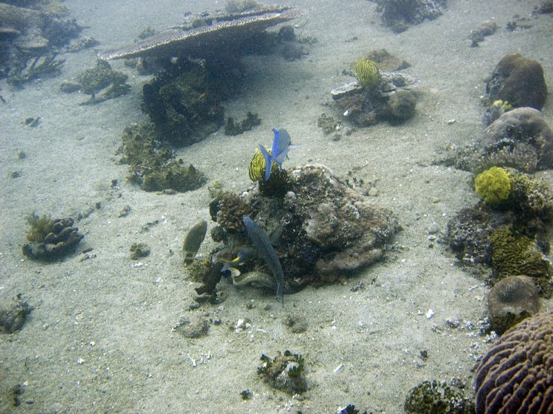 crw_1752.jpg