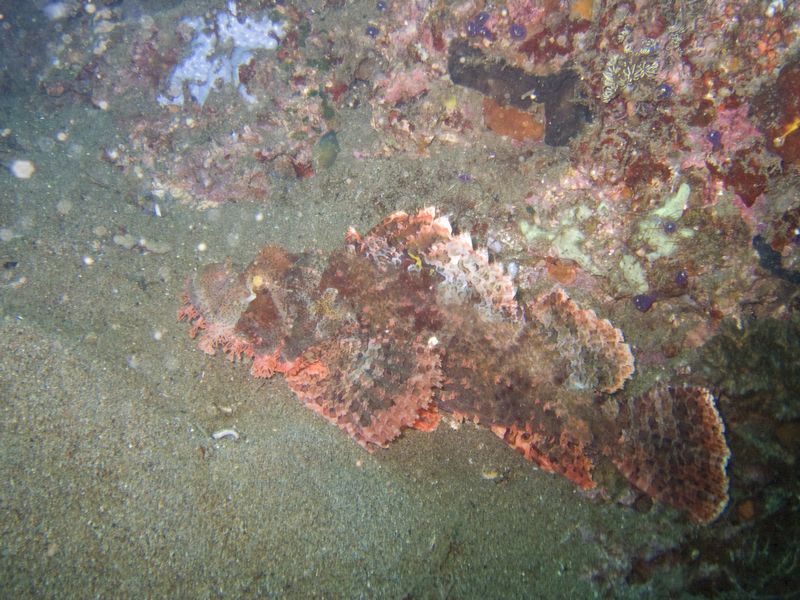 crw_1827.jpg