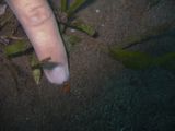 crw_1569mod1.jpg
