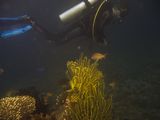 crw_1685mod1.jpg