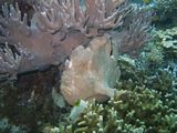 crw_1688mod1.jpg