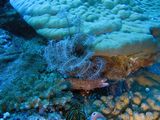 crw_1750.jpg