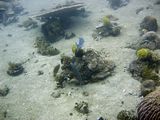 crw_1752.jpg