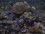 crw_1784.jpg