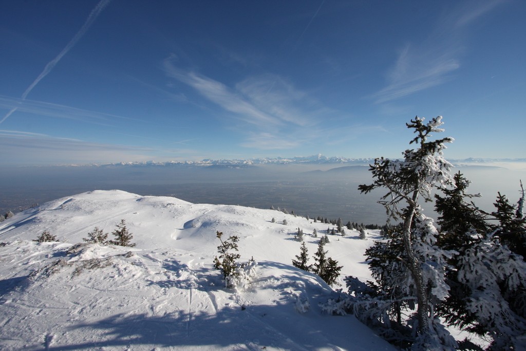 n_IMG_5164.jpg