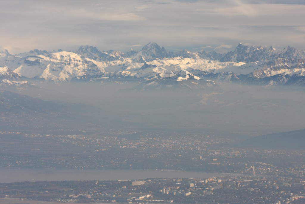 n_IMG_5203.jpg