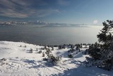IMG_5151.JPG