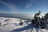 IMG_5153.JPG