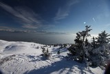 IMG_5154.JPG