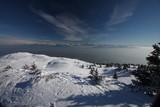 IMG_5155.JPG