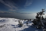 IMG_5157.JPG