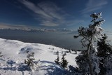 IMG_5160.JPG